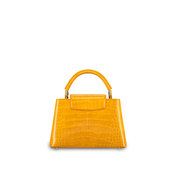 Shop Women's Louis Vuitton Capucines BB Now