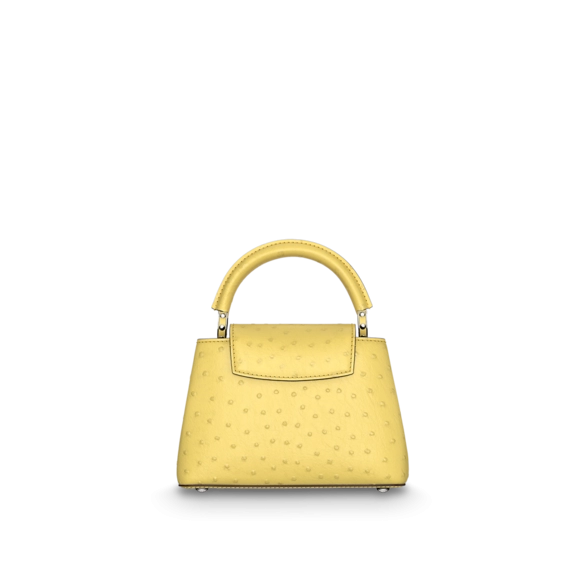 Women's Fashion Louis Vuitton Capucines Mini Now Available