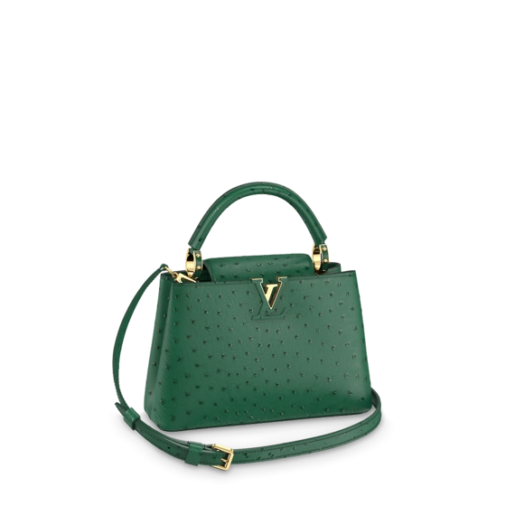 Buy Louis Vuitton Capucines BB Women's Accessories - On Sale Now!