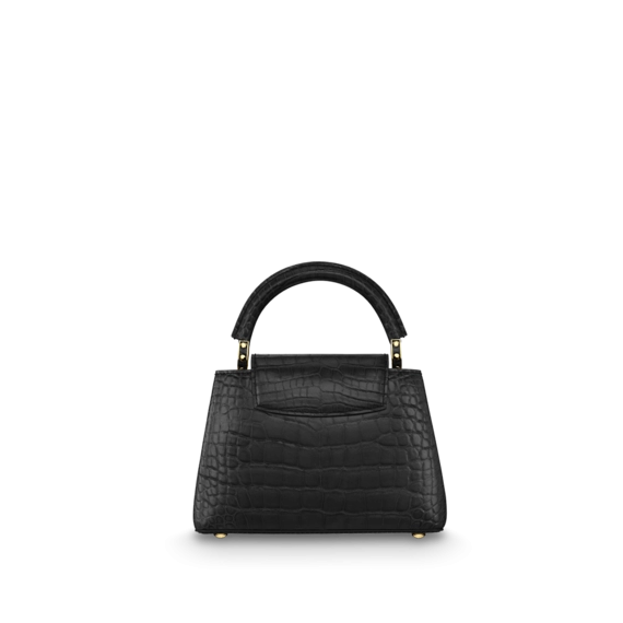 Don't Miss Out - Get the Louis Vuitton Capucines Mini for Women Today!