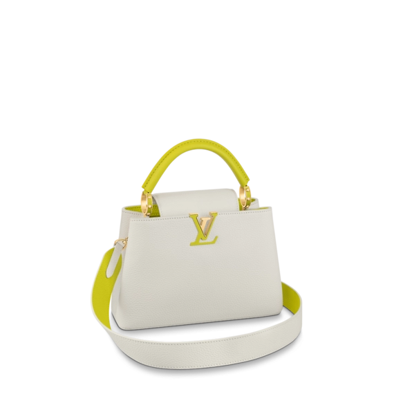 Shop the Capucines BB for Women - Stylish and Trendy Handbag for the Modern Lady