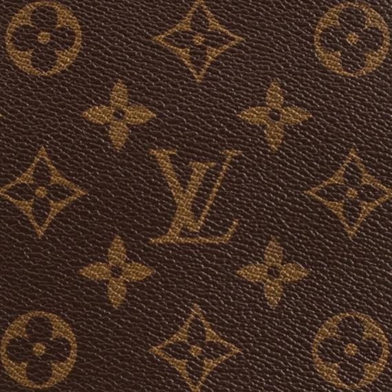 Be chic and stylish with the Louis Vuitton Neverfull PM!