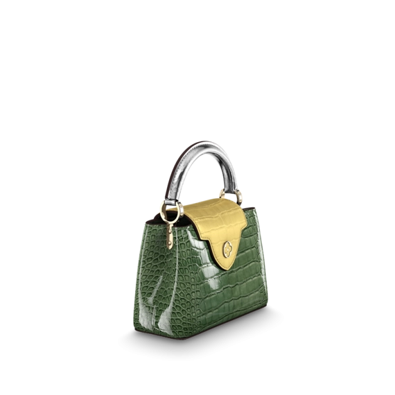 Find the Perfect Women's Fashion Accessory - Louis Vuitton Capucines Mini