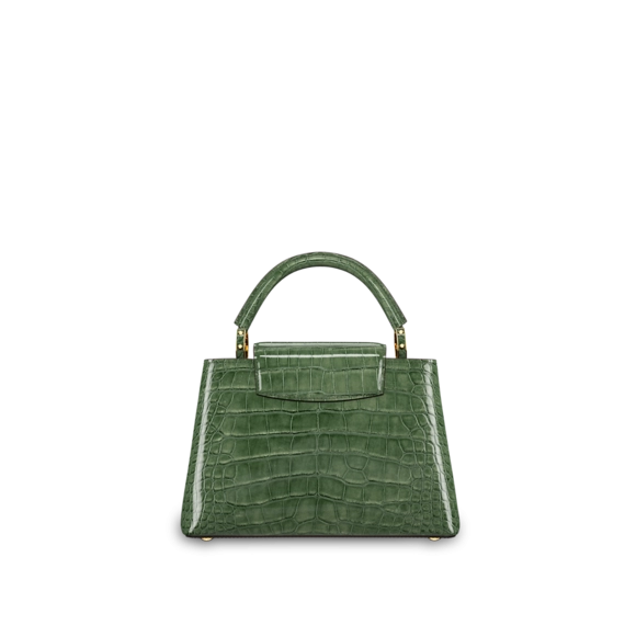 Grab the Luxurious Louis Vuitton Capucines BB Women's Bag at a Discount!