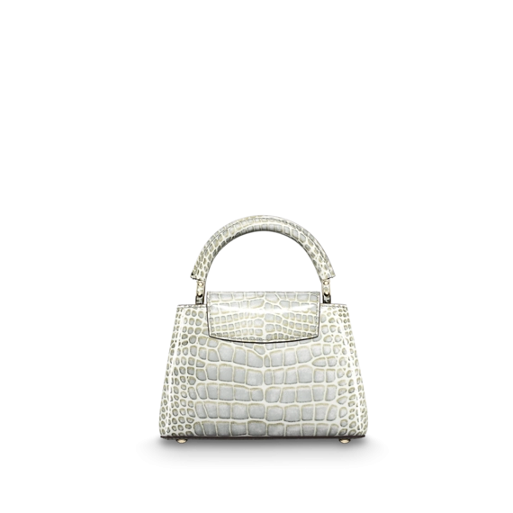 Get the Louis Vuitton Capucines Mini for Women's