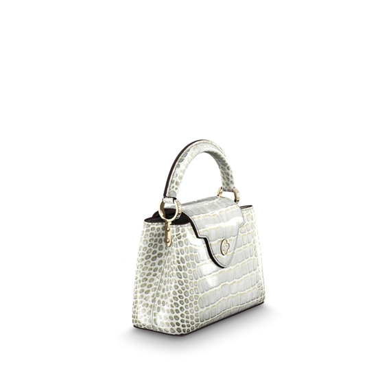 Discover the Louis Vuitton Capucines Mini for Women's