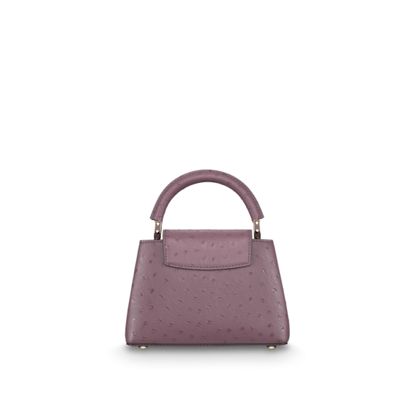 Shop Women's Louis Vuitton Capucines Mini Purple - Get Discounts Now!