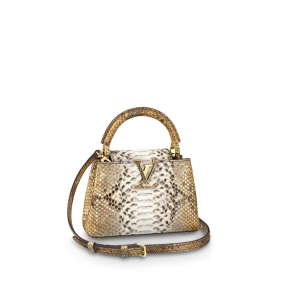 Women's Louis Vuitton Capucines Mini Combination of Brown and Golden - Get Discount Now!