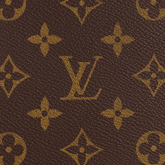 Be Stylish with the Louis Vuitton Poche Toilette NM