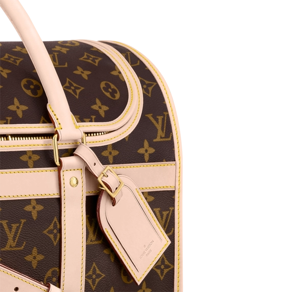 Shop Women's Louis Vuitton Dog Bag at Discount Prices