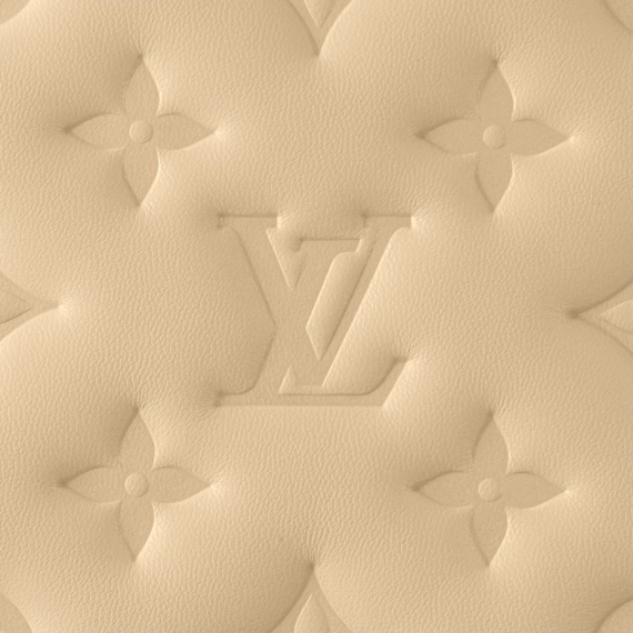 Louis Vuitton Coussin MM