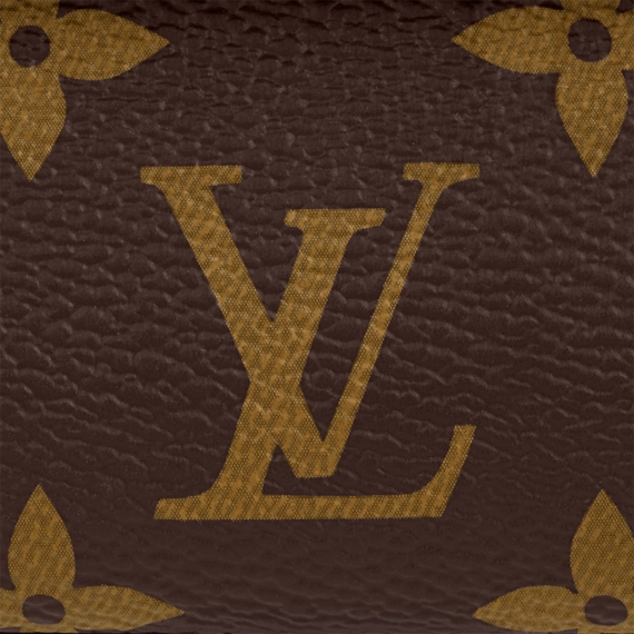 Louis Vuitton Wallet on Chain Ivy