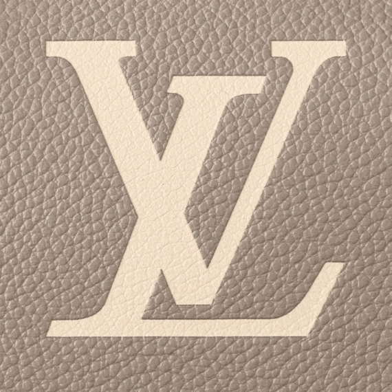 Louis Vuitton Speedy Bandoulière 20