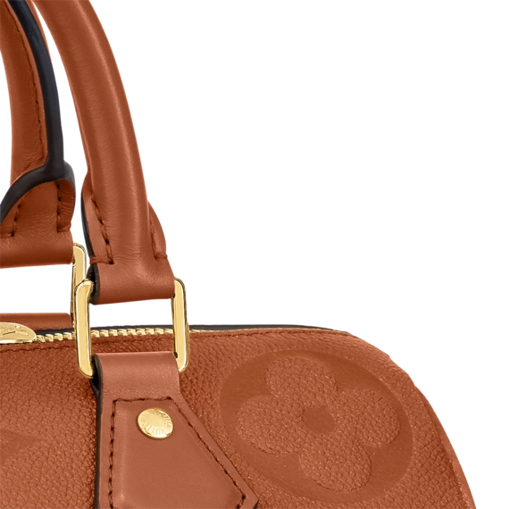 Louis Vuitton Speedy Bandoulière 25