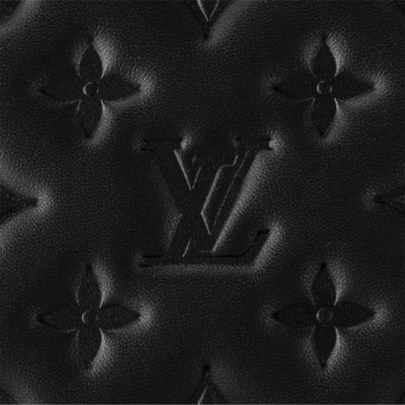 Louis Vuitton Coussin MM