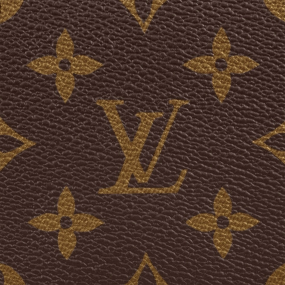 Louis Vuitton Speedy 35