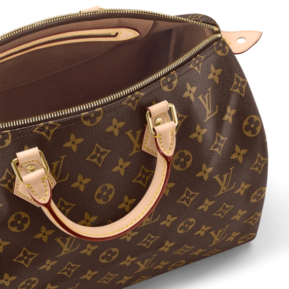 Louis Vuitton Speedy 35