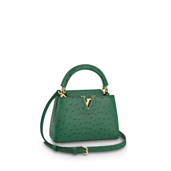 Louis Vuitton Capucines Mini