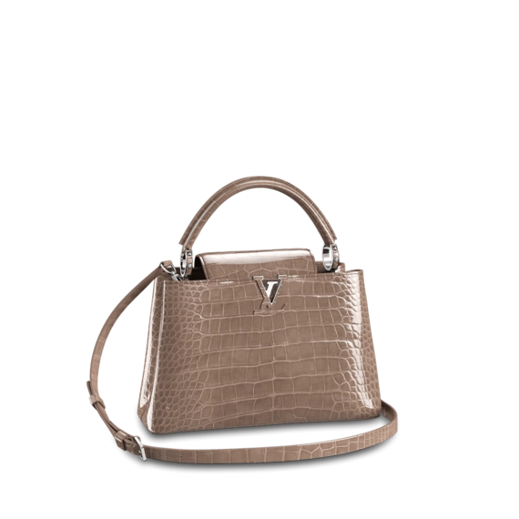 Louis Vuitton Capucines MM