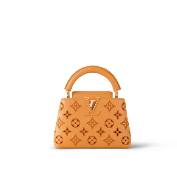 Louis Vuitton Capucines Mini