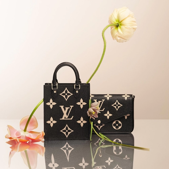 Louis Vuitton Félicie Pochette