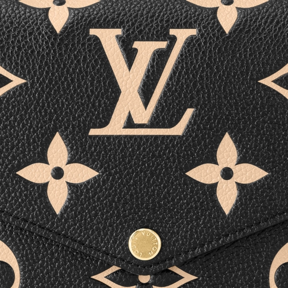 Louis Vuitton Félicie Pochette