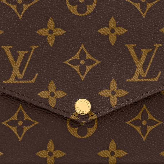 Louis Vuitton Félicie Pochette