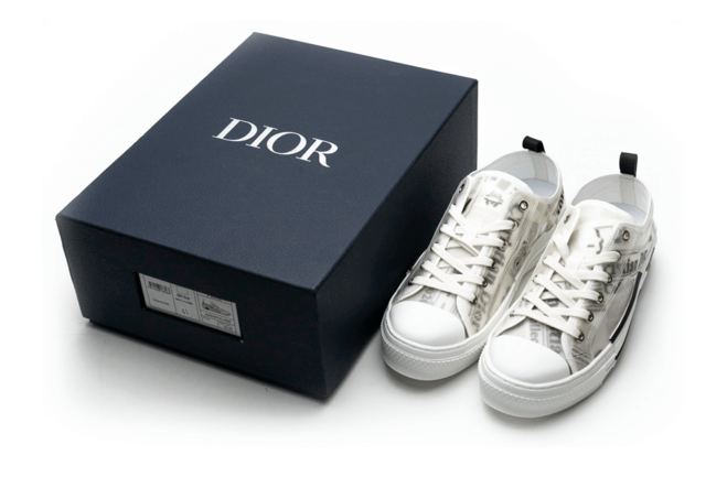 Daniel Arsham x Dior B23 Low Newsprint