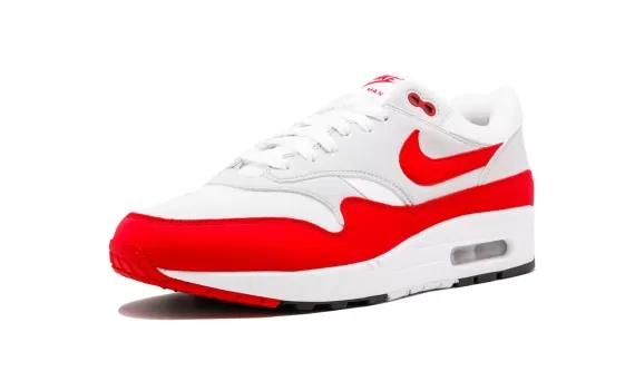 Air Max 1 Anniversary - Anniversary