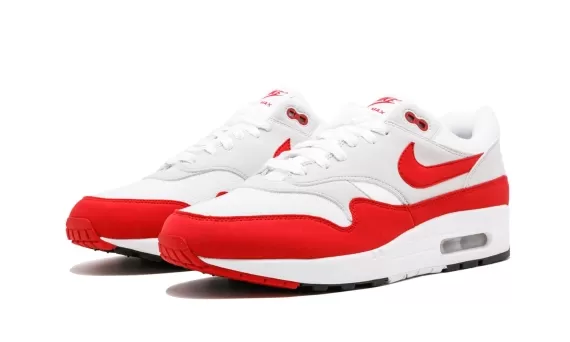 Air Max 1 Anniversary - Anniversary