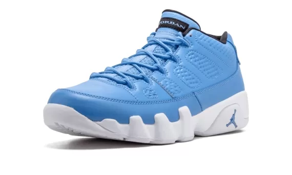 Air Jordan 9 Retro Low - Pantone